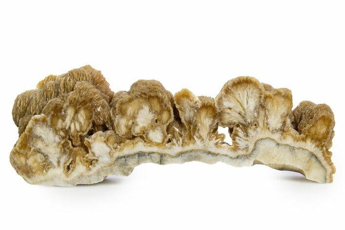 Polished Barite With Pyrite Slab - Lubin Mine, Poland #346203